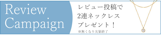 レビューキャンペーン